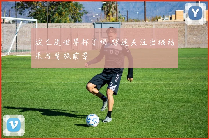 波兰进世界杯了吗 球迷关注出线结果与晋级前景